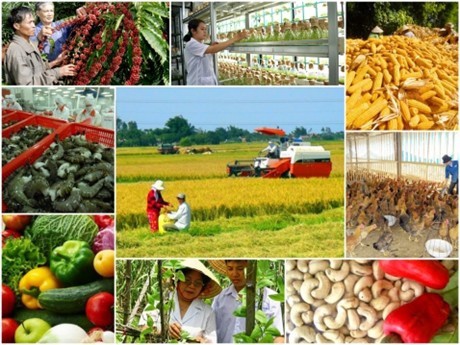 Năm 2022, giá trị sản xuất nông nghiệp tăng 3,8% - Ảnh 1. Năm 2022, giá trị sản xuất nông nghiệp tăng 3,8% - Ảnh 1.