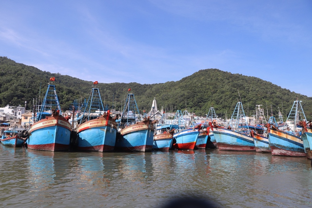 Triển khai chính sách hỗ trợ chuyển đổi nghề, giải bản đối với tàu cá không có nhu cầu hoạt động - Ảnh 1.
