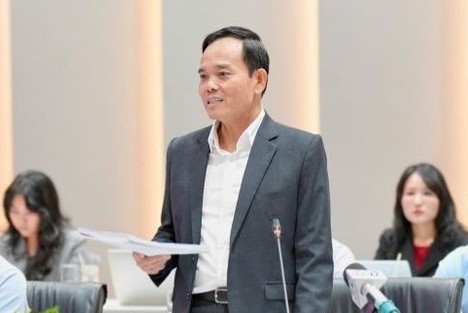 TPHCM thành lập Ban Chỉ đạo nghiên cứu, đề xuất xây dựng Luật Đô thị đặc biệt- Ảnh 1.