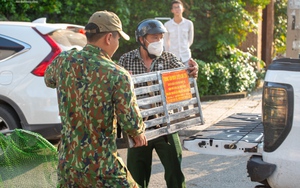 Phường đầu tiên thành lập đội bắt chó thả rông