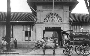 Cuộc hẹn đầu tiên với TPHCM: Ăn tối trong hẻm Hoa Anh Túc, xem xiếc ở Nhà hát Thành phố