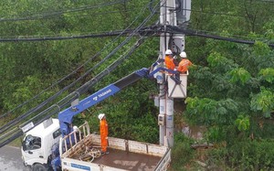 Điện lực TPHCM tạm ngưng thi công tất cả các công trình đào đường để phục vụ lễ 30/4 và 1/5