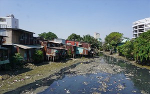 Triển khai dự án nạo vét, cải tạo rạch Xuyên Tâm
