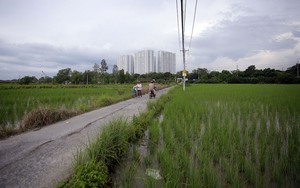 TPHCM gia hạn sử dụng đất nông nghiệp theo Nghị quyết 98