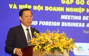 Doanh nghiệp FDI tin tưởng và cam kết đồng hành cùng TPHCM- Ảnh 5. TPHCM lập tổ công tác giải quyết vướng mắc cho doanh nghiệp FDI