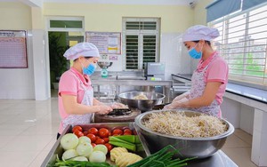 Phát động Thánh hành động vì an toàn thực phẩm năm 2024