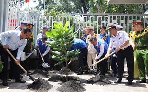 TPHCM trồng cây bàng vuông từ Trường Sa gửi tặng