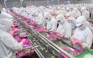 DN thủy sản Việt Nam, Singapore đẩy mạnh hợp tác, nâng tầm giá trị