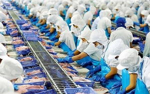 Hỗ trợ ngành thủy sản vượt khó, phấn đấu đạt mục tiêu xuất khẩu đề ra