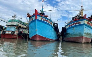 Triển khai chính sách hỗ trợ chuyển đổi nghề, giải bản đối với tàu cá không có nhu cầu hoạt động - Ảnh 2.