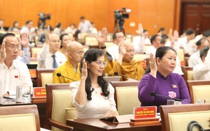 HĐND TPHCM họp kỳ chuyên đề, xem xét về tổ chức bộ máy và công tác nhân sự