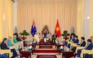 Bí thư Thành ủy TPHCM Trần Lưu Quang hội kiến Toàn quyền Australia