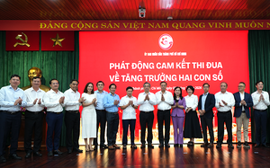 Phát động cao điểm 