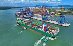 TPHCM thúc đẩy hợp tác cảng biển theo hướng xanh, thông minh