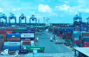 Triển khai các giải pháp khắc phục ùn tắc khu vực cảng Cát Lái - Phú Hữu- Ảnh 6. Tiết kiệm hàng nghìn tỷ đồng khi thông quan ở cảng Cát Lái