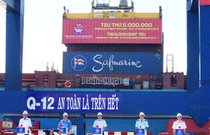 Triển khai các giải pháp khắc phục ùn tắc khu vực cảng Cát Lái - Phú Hữu- Ảnh 5. Tân cảng Cát Lái đón Teu hàng thứ 5 triệu