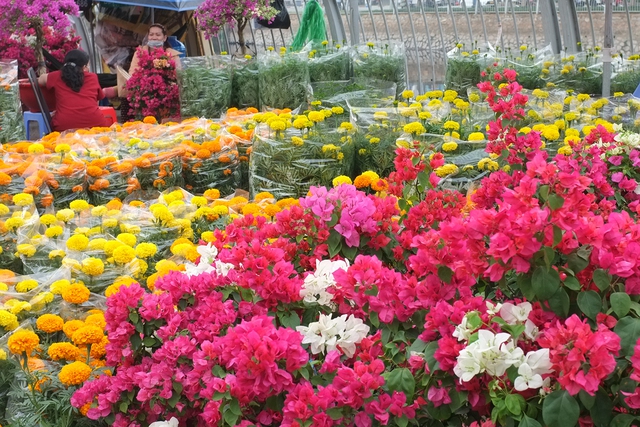Chợ hoa xuân “Trên bến dưới thuyền” nhiều điểm mới thú vị - Ảnh 9.