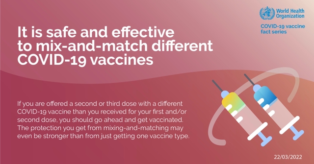 Đa dạng hoá phương thức truyền thông về tiêm vaccine (12/8) - Ảnh 1.