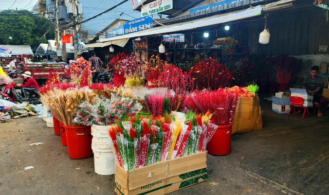 Chợ hoa ở TPHCM nhộn nhịp những ngày cận Tết - Ảnh 12.