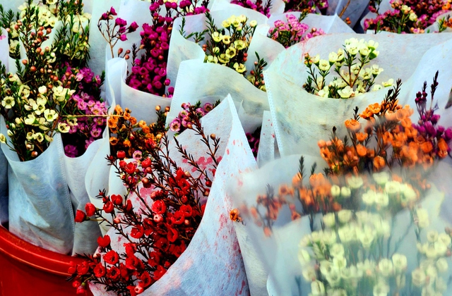 Chợ hoa ở TPHCM nhộn nhịp những ngày cận Tết - Ảnh 5.
