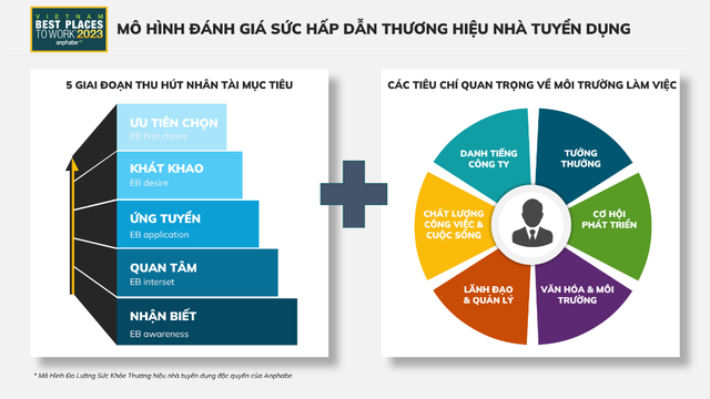 Anphabe khởi động khảo sát nới làm việc tốt nhất Việt Nam năm 2023 - Ảnh 1.