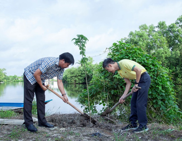 PVCFC tiếp tục chiến dịch trồng 300.000 cây xanh   - Ảnh 2.