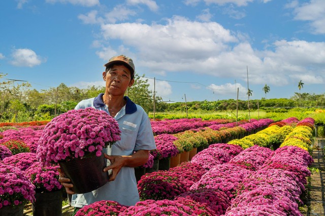 Chợ hoa xuân Bình Điền: Kỷ niệm 10 năm góp mặt vào thị trường hoa Tết TPHCM- Ảnh 3.