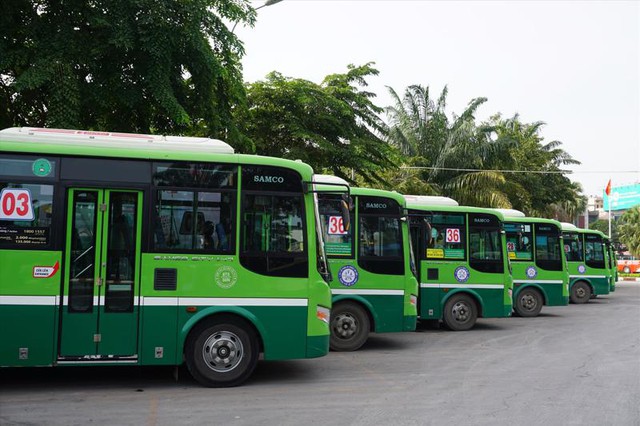 TPHCM thay mới gần 240 xe buýt- Ảnh 1.