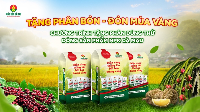 Phân bón Cà Mau đồng hành cùng nông dân Việt: Tặng phân bón, đón mùa vàng- Ảnh 1.