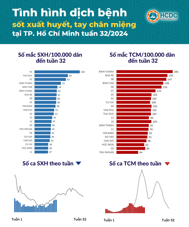 TPHCM: Số ca sốt xuất huyết tăng, tay chân miệng giảm- Ảnh 1.