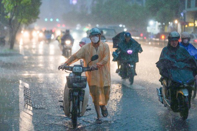 TPHCM sẵn sàng ứng phó với mưa bão- Ảnh 1.