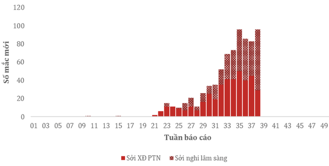 Dịch sởi tại TPHCM có dấu hiệu chững lại- Ảnh 1.