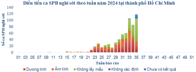 Số ca sốt phát ban nghi sởi ở TPHCM tiếp tục tăng mạnh- Ảnh 1.