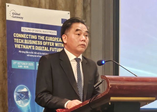 Thúc đẩy hợp tác giữa Việt Nam và EU trong lĩnh vực đầu tư số- Ảnh 2. Thúc đẩy hợp tác giữa Việt Nam và EU trong lĩnh vực đầu tư số- Ảnh 2.