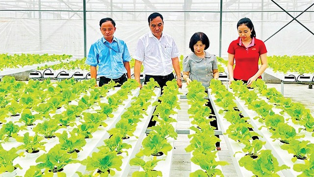 TPHCM đẩy mạnh xây dựng chuỗi nông sản sạch, an toàn- Ảnh 1.