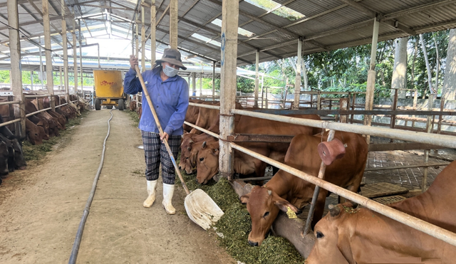 Hỗ trợ tối đa 100 triệu đồng cho cơ sở chăn nuôi để xử lý chất thải- Ảnh 1. Hỗ trợ tối đa 100 triệu đồng cho cơ sở chăn nuôi để xử lý chất thải- Ảnh 1.