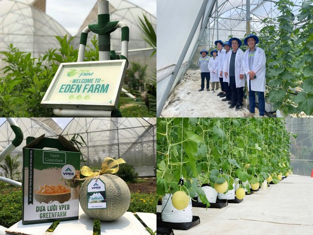 Eden Farm đầu tư chiều sâu để góp sức nâng chuỗi giá trị nông sản Việt bền vững- Ảnh 2.