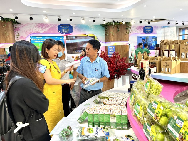 Đẩy mạnh xúc tiến thương mại giữa vùng Duyên hải Nam Trung Bộ và TPHCM- Ảnh 1. Đẩy mạnh xúc tiến thương mại giữa vùng Duyên hải Nam Trung Bộ và TPHCM- Ảnh 1.