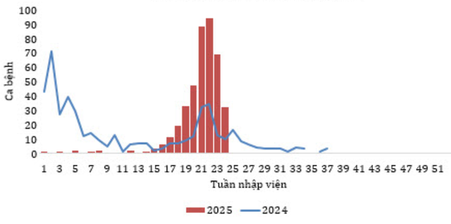 100% phường, xã ở TPHCM đủ điều kiện công bố hết dịch sởi- Ảnh 2. 100% phường, xã ở TPHCM đủ điều kiện công bố hết dịch sởi- Ảnh 2.