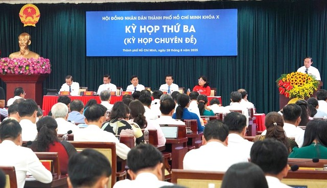 HĐND Thành phố thông qua nhiều chính sách an sinh xã hội, chế độ cho cán bộ công chức - Ảnh 2. HĐND Thành phố thông qua nhiều chính sách an sinh xã hội, chế độ cho cán bộ công chức - Ảnh 2.