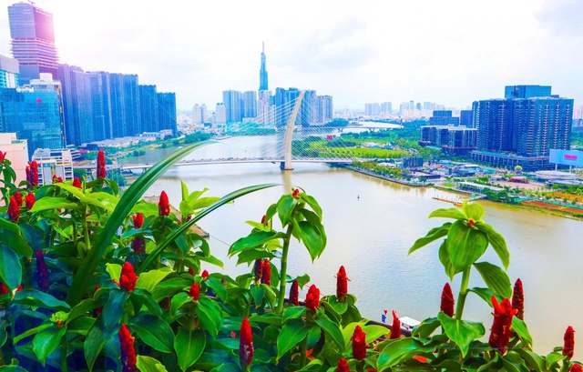 TPHCM nhiệm kỳ mới: Hiện thực hóa tầm nhìn 'siêu đô thị' mang tầm quốc tế- Ảnh 3.