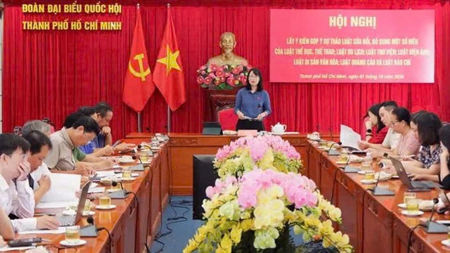 TPHCM góp ý sửa nhiều luật về văn hóa, thể thao, du lịch- Ảnh 1.