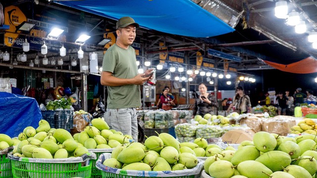 Triển khai tạo nguồn và dự trữ hàng hóa phục vụ Tết Đinh Mùi 2027- Ảnh 2. Triển khai tạo nguồn và dự trữ hàng hóa phục vụ Tết Đinh Mùi 2027- Ảnh 2.
