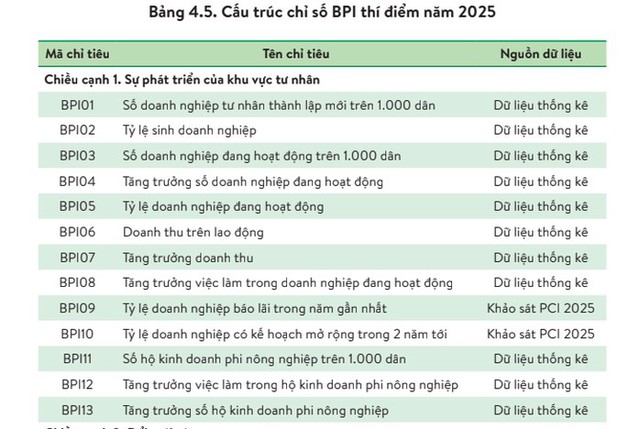 TPHCM dẫn đầu cả nước về Chỉ số hiệu quả kinh tế tư nhân- Ảnh 1. TPHCM dẫn đầu cả nước về Chỉ số hiệu quả kinh tế tư nhân- Ảnh 1.
