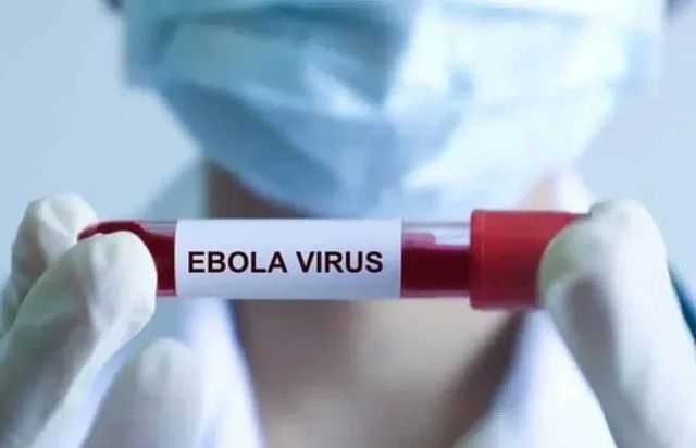 Sở Y tế TPHCM chủ động giám sát, ngăn nguy cơ dịch Ebola xâm nhập- Ảnh 1.