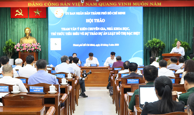 Luật Đô thị đặc biệt đề xuất giao gần 300 thẩm quyền cho TPHCM- Ảnh 2.