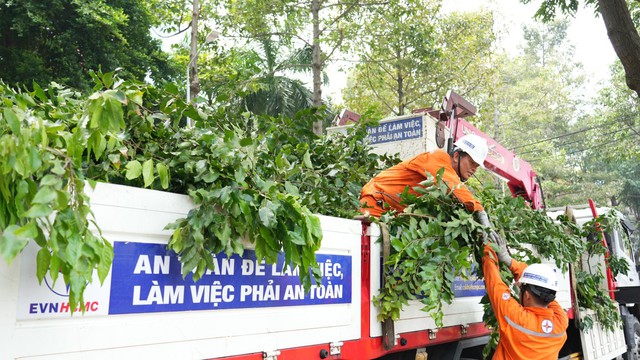 Sẵn sàng các phương án đảm bảo an toàn điện cho Thành phố trong mùa mưa bão- Ảnh 3. Sẵn sàng các phương án đảm bảo an toàn điện cho Thành phố trong mùa mưa bão- Ảnh 3.