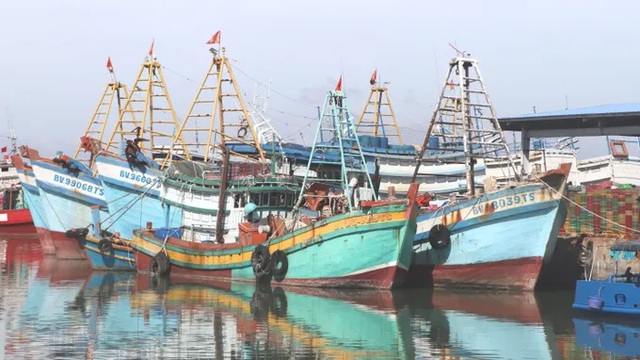 Triển khai Hệ thống truy xuất nguồn gốc thủy sản khai thác điện tử (eCDT)- Ảnh 1.