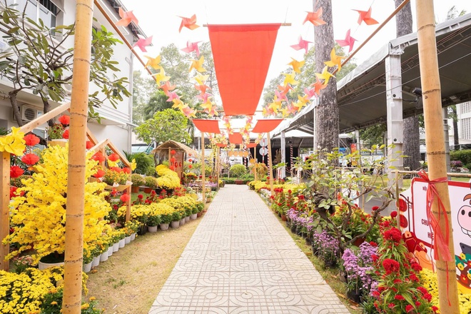 Bệnh viện Chợ Rẫy đem không gian Tết đến với bệnh nhân- Ảnh 1.