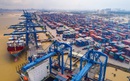 Đến năm 2050, xây dựng cảng biển TPHCM ngang tầm khu vực và thế giới